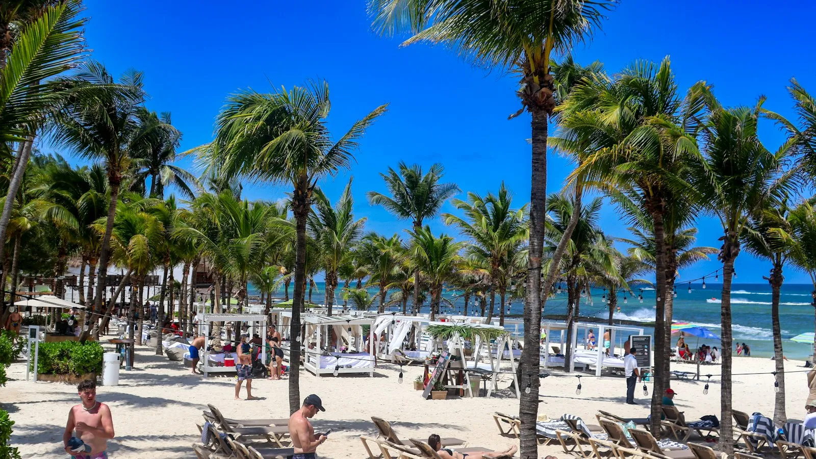 Playa de arena blanca con palmeras y camastros frente al mar turquesa en Playa del Carmen