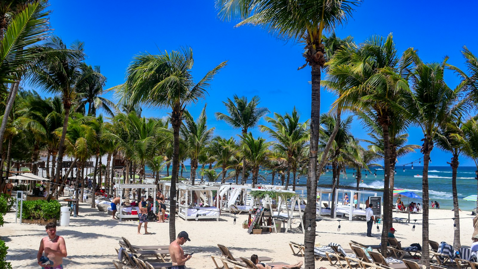 Playa de arena blanca con palmeras y camastros frente al mar turquesa en Playa del Carmen